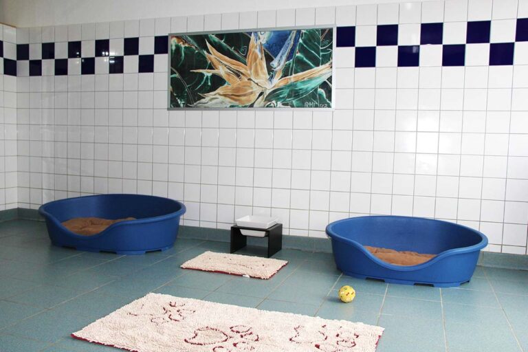 Gallery A look inside the dog hotel