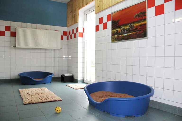 Dog room with resting places
