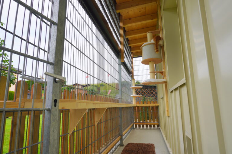Gallery Outdoor area of cat room 2