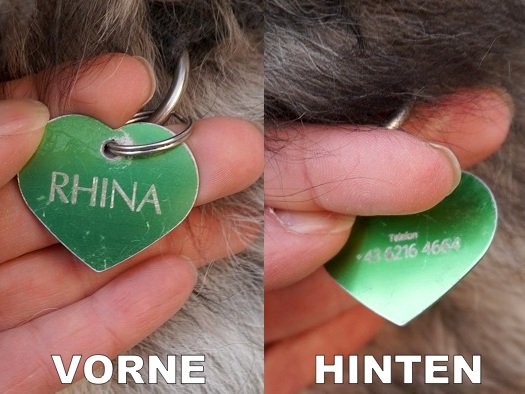 Guides Collar and name tag