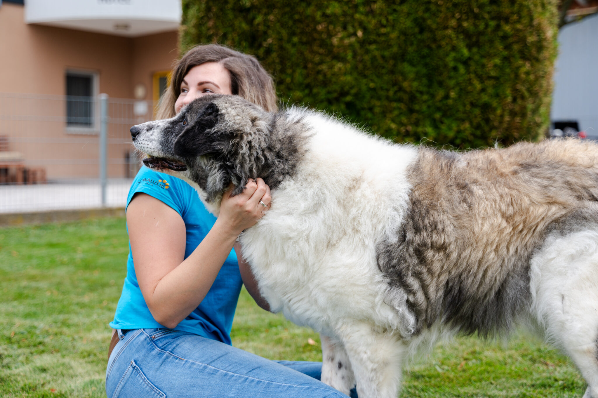 Carer cuddling a large dog