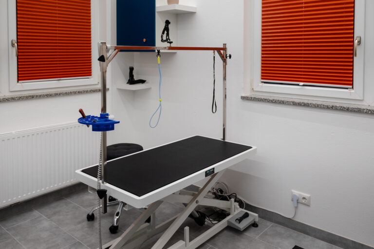 Gallery A look inside the dog grooming salon