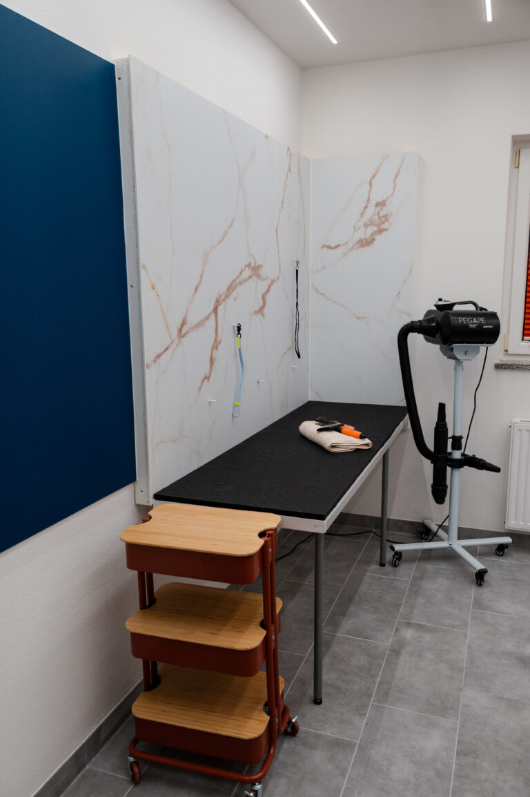 Gallery A look inside the dog grooming salon