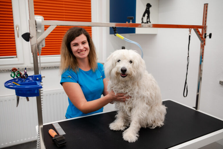 Gallery Coat care for a dog in the grooming salon