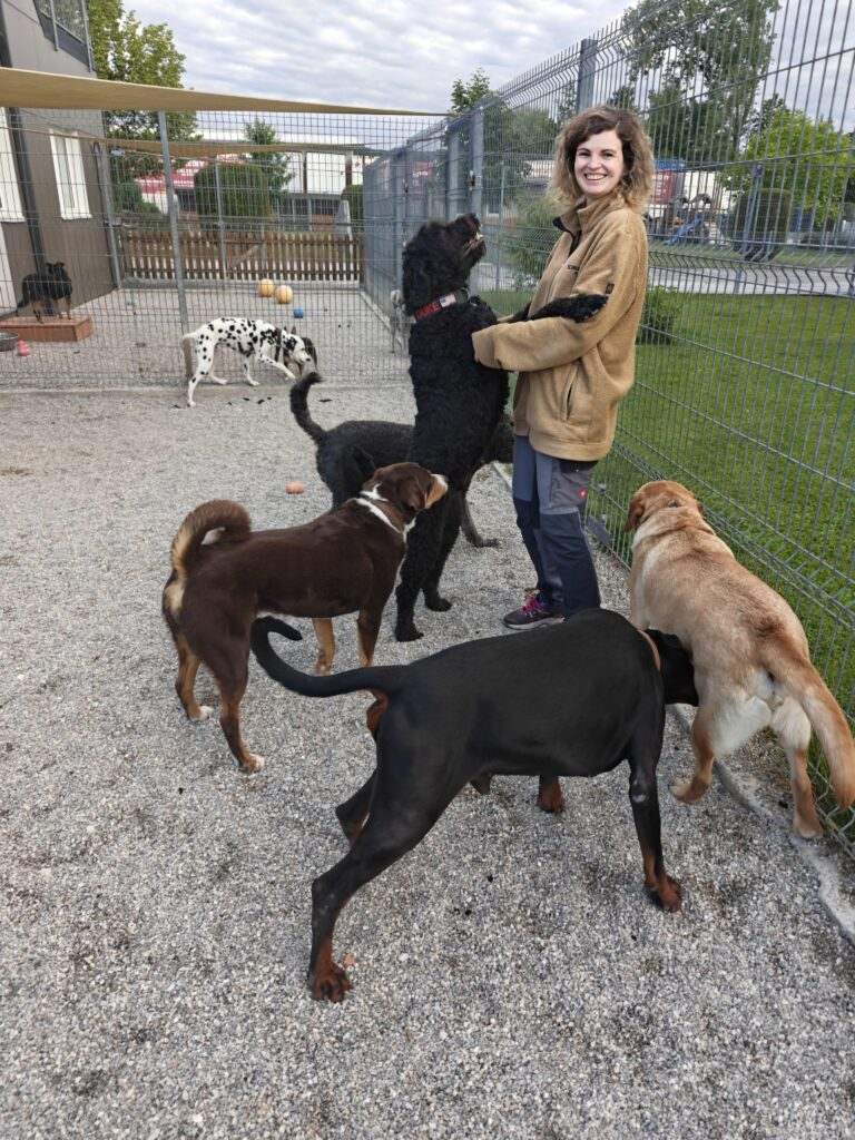 Gallery A look inside the dog hotel