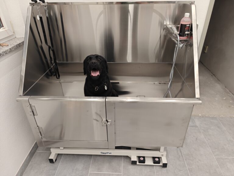 Gallery A look inside the dog grooming salon