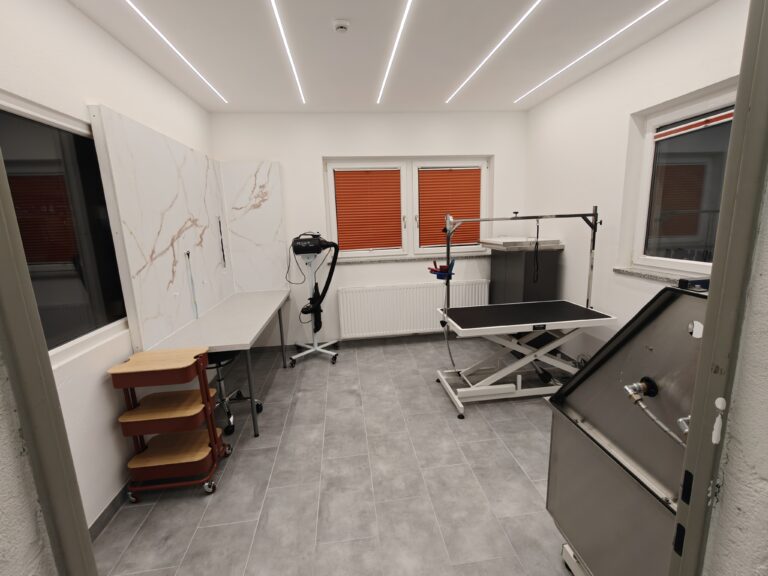 Gallery A look inside the dog grooming salon